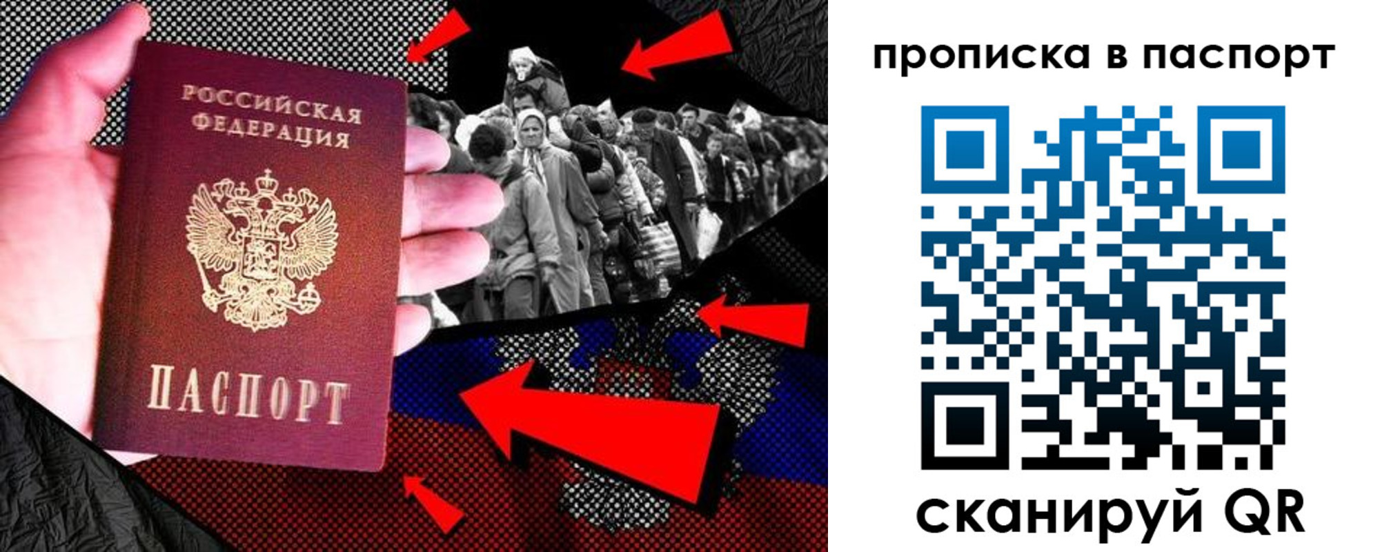 где прописаться в Ельне