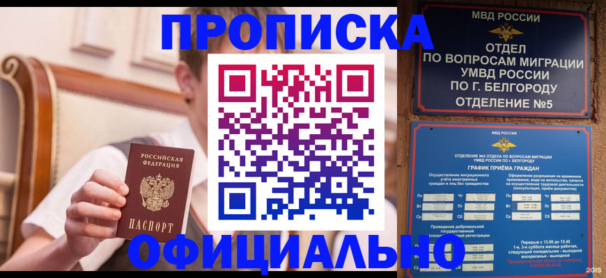 прописка паспорт в Ельне